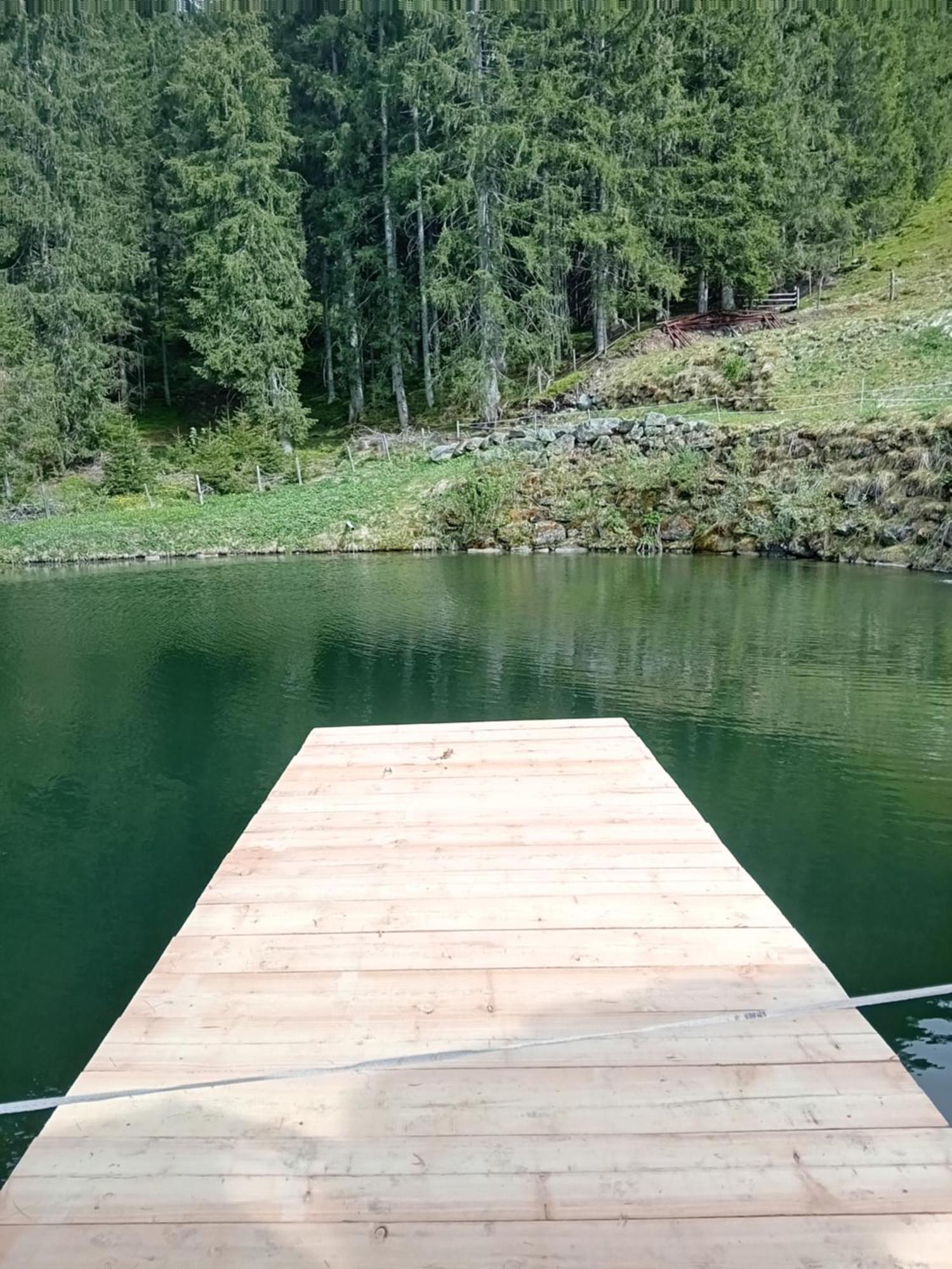 Ferienhaus Hochwimmer Холерсбах им Пинцгау Екстериор снимка