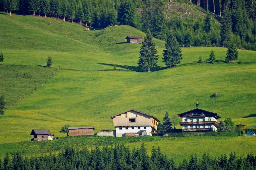 Ferienhaus Hochwimmer Холерсбах им Пинцгау Екстериор снимка